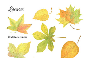 Autumn/Fall Clipart Elements