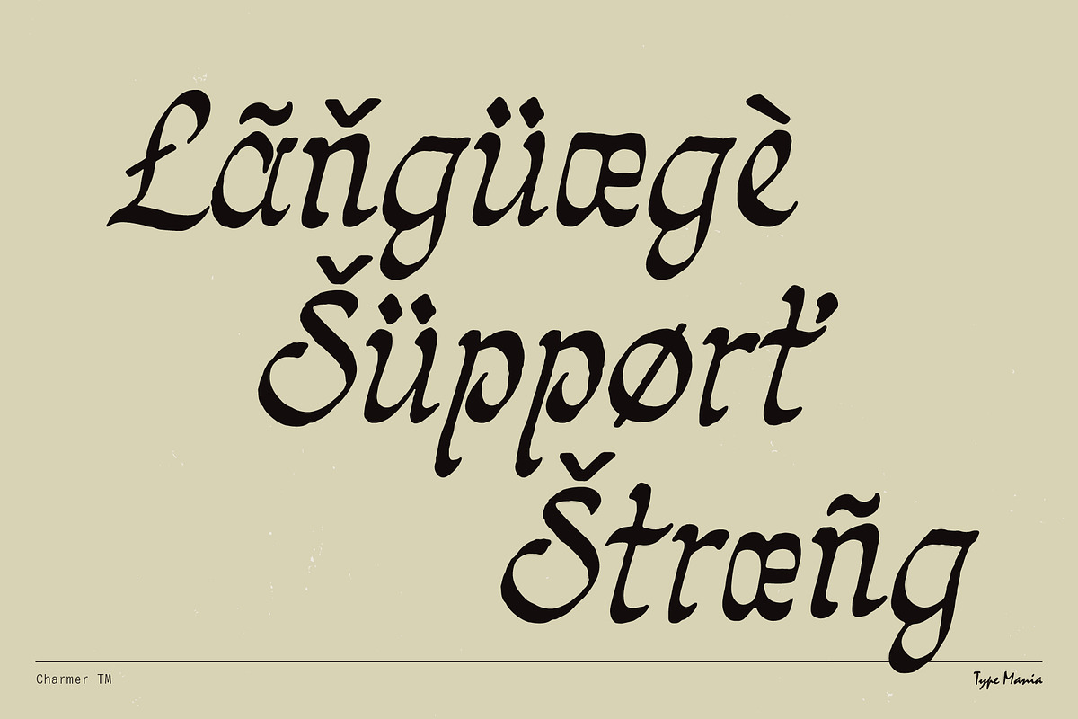 Charmer TM – Homebaked Calligraphy, a Font by Type Mania (Photo 9 of 10)