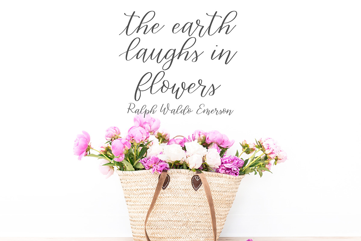 Gracefully-a Handwritten Script Font preview 3