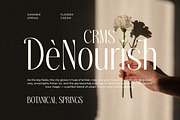 Audrey & Caroline - Elegant Modern, a Serif Font by Shakira Studio (Thumbnail 3 of 10)
