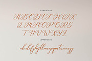 Celtaniya Bioffany Calligraphy, a Script Font by gracetype_studio (Thumbnail 10 of 14)