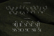 Classo - An Elegance Serif Font, a Serif Font by GridlineType (Thumbnail 8 of 10)