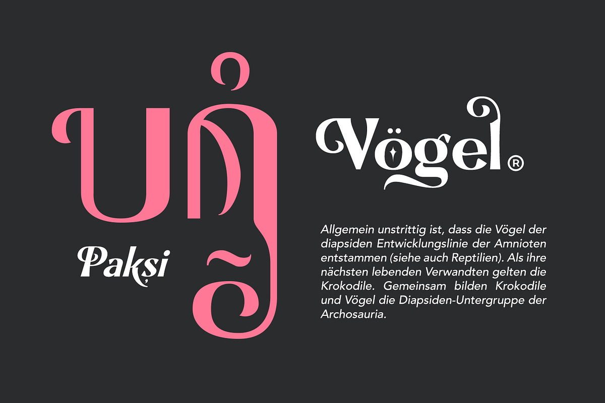 Boxes, a Serif Font by Naksatra (Photo 5 of 14)