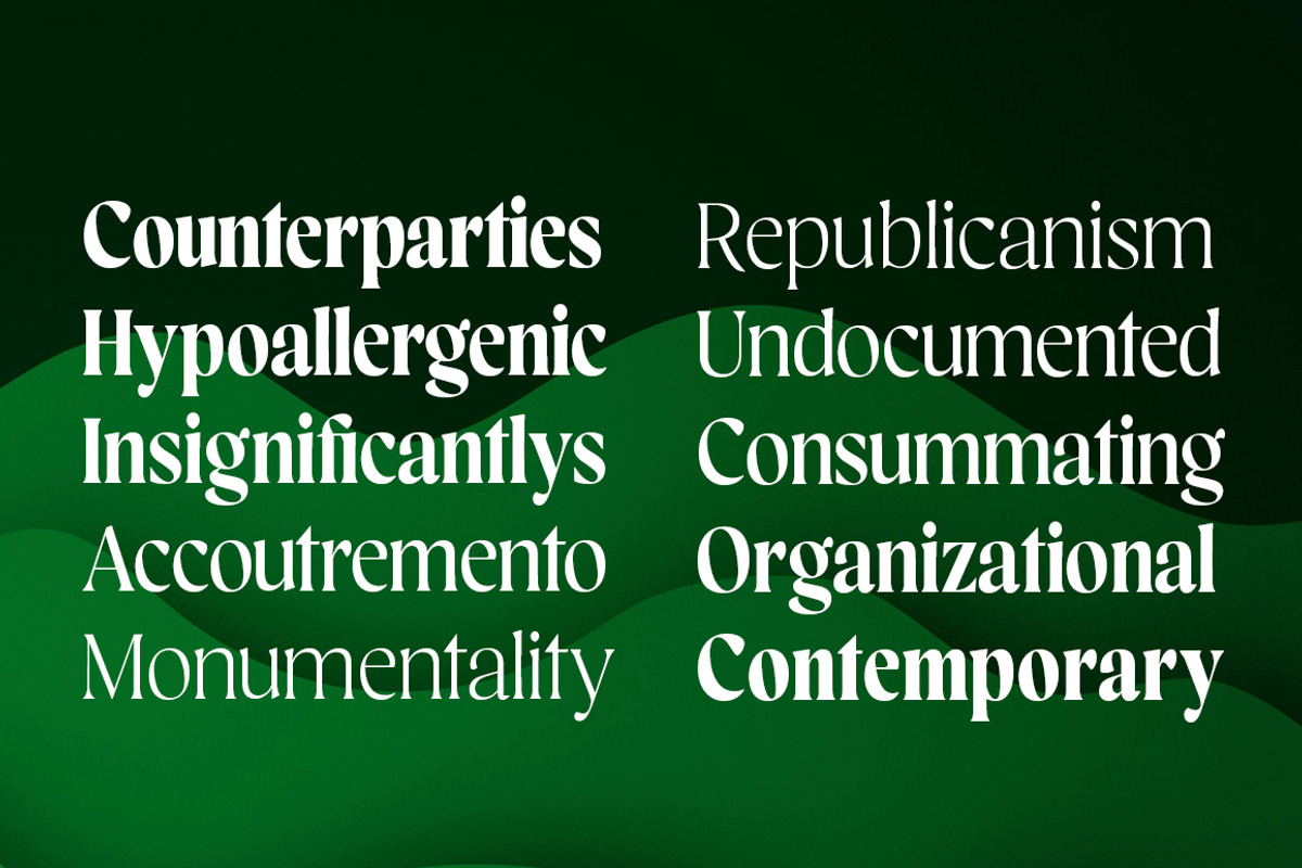Blacklady Font Family, a Serif Font by Mulkan Nazir (Photo 14 of 15)