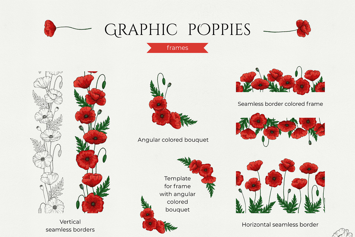 Graphic poppies. Vector set., a Pattern Graphic by TaityG (Photo 6 of 12)