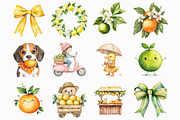 Citrus Fruit Clipart, an Illustration by Design Market (Thumbnail 5 of 5)