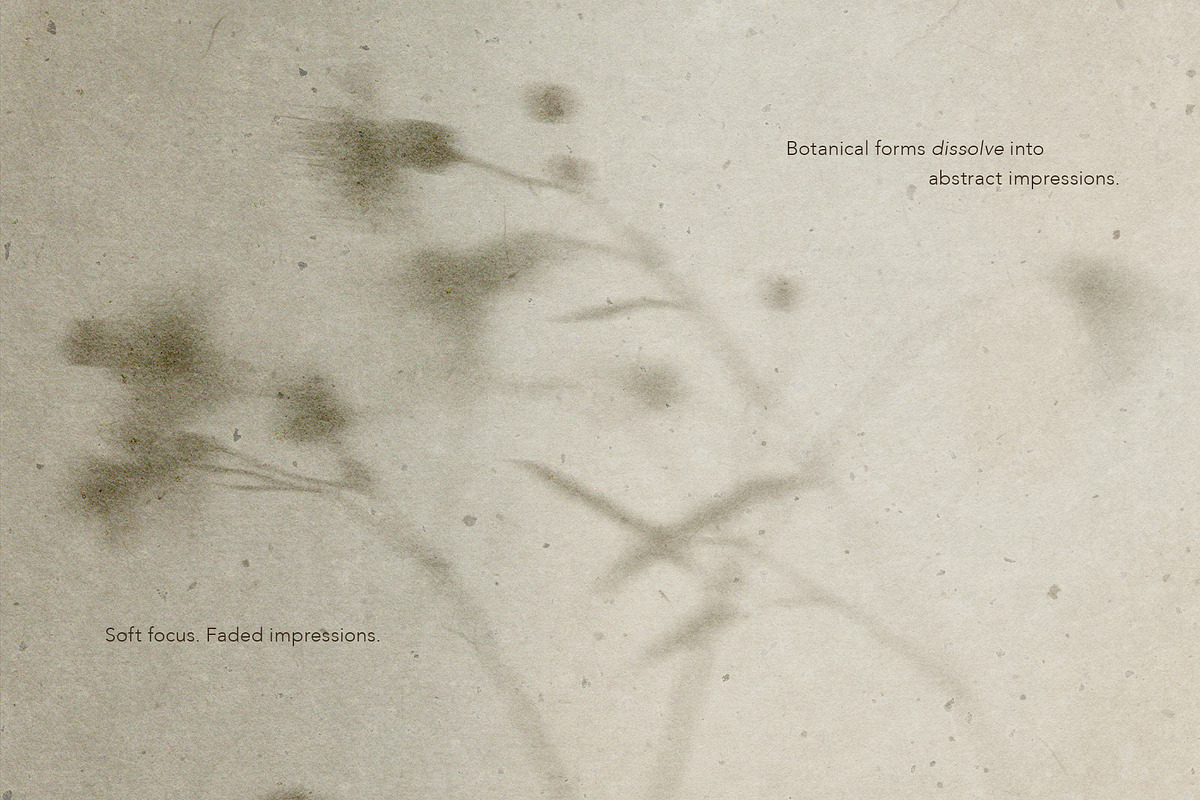 Diaphane - Blurry Floral Backgrounds, a Background Graphic by alonahaidash (Photo 2 of 16)