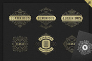 500 ornaments logos & monograms, a Branding & Logo Template by Vasya Kobelev (Thumbnail 10 of 31)