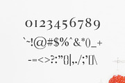 Hyogo A Modern Serif Font Family, a Serif Font by Creativetacos (Thumbnail 3 of 6)
