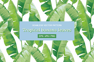 Tropical banana leaves pattern.