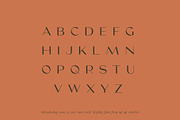 Coax, A Cool Sans Serif Display Font, a Sans Serif Font by Up Up Creative (Thumbnail 4 of 10)