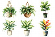 Watercolor Home Plants Clipart, an Illustration by Daily.Designs (Thumbnail 8 of 8)
