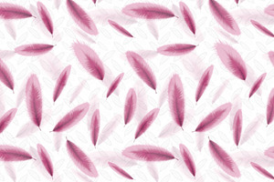 Pink Feather Border And Frame.