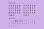 Marvera, a Serif Font by Studio Moara (Thumbnail 3 of 8)
