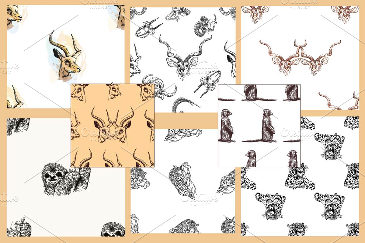 Wild Animals, an Animal Illustration by Ecaterina Sciuchina (Photo 3 of 3)