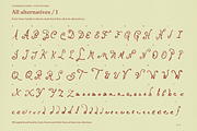 A Summer in Paris, a Handwritten Font by PeachCreme (Thumbnail 17 of 18)