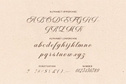 Monalisa Wedding Script Font, a Script Font by Elegant Font (Thumbnail 10 of 10)