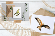 Watercolor Birds Clip Arts and Cards, an Education Illustration by Tati Bordiu (Thumbnail 3 of 5)