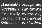 Hailing, a Sans Serif Font by zaaintype (Thumbnail 10 of 14)