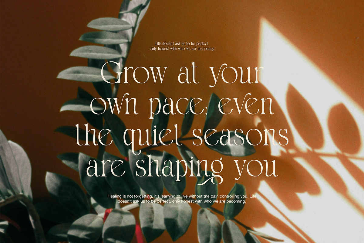 Thomy Elegant Serif Font, a Serif Font by Graphicxell (Photo 5 of 8)