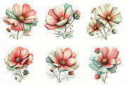 Whimsical Cosmos Flower Clipart, an Illustration by Designworld (Thumbnail 2 of 8)