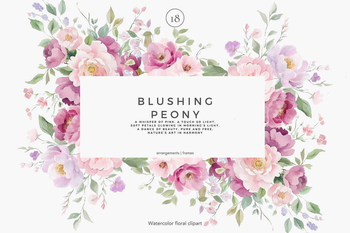 floral clipart watercolor peonies, a Decorative Illustration by Patishop Art (Photo 1 of 10)