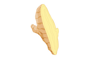 Ginger root. Aromatic herbal spice, a Food Illustration by the8monkey