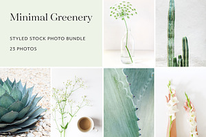 Minimal Greenery Photo Bundle
