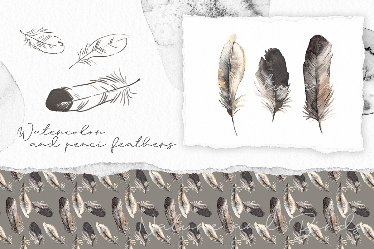 Watercolor Nature and Birds set, an Illustration by Alamella (Photo 8 of 13)