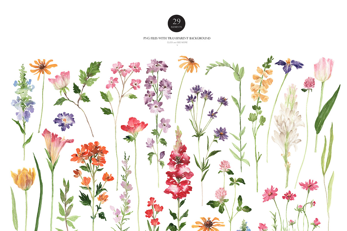 Dreaming Watercolor WILDFLOWER, a Decorative Illustration by Beigetime (Photo 3 of 14)