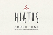 Hiatus Brush Font & Illustrations, a Font by Storyteller Imagery (Thumbnail 1 of 20)