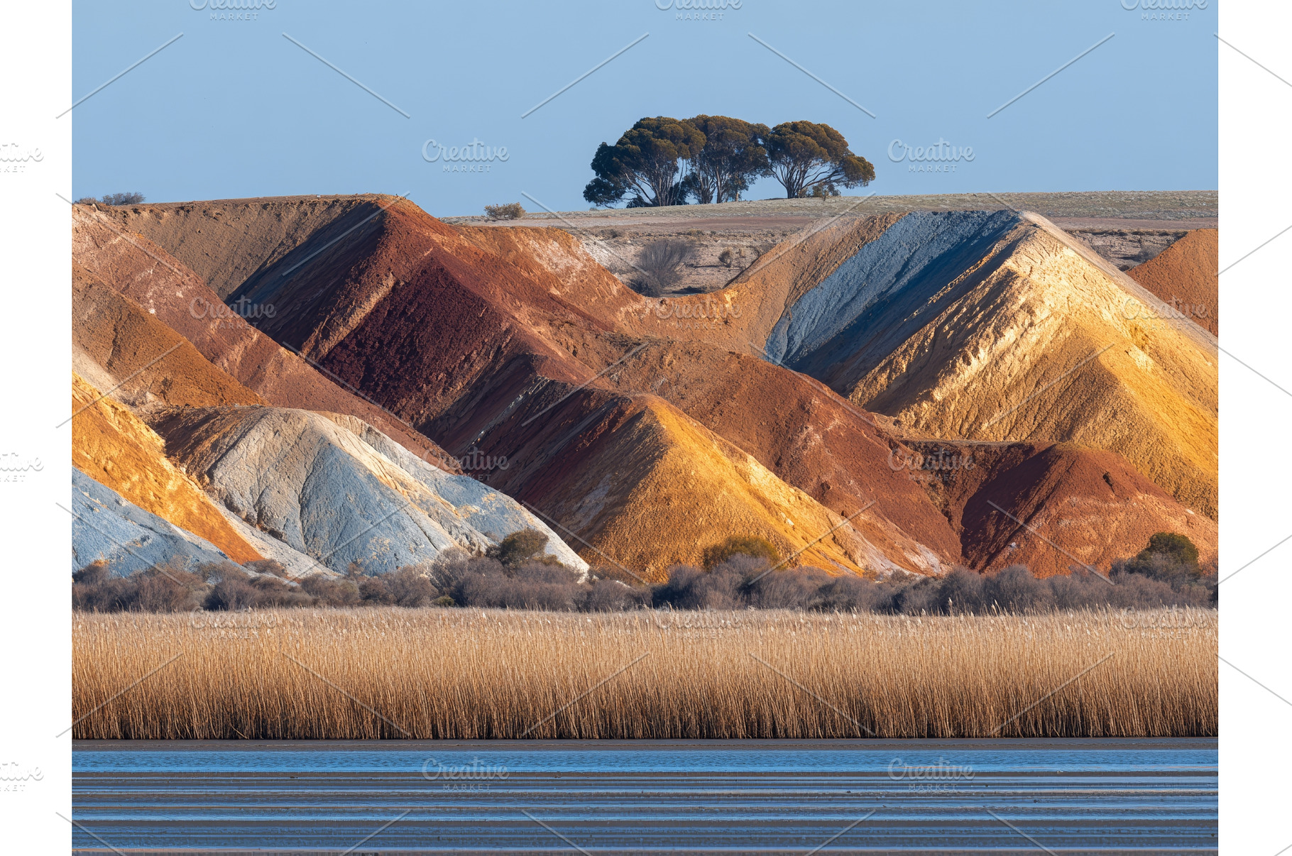 The banks of the Murray River, close, a Holiday Photo by ZinetroN