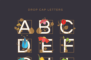 Drop Cap Illuminated Initials