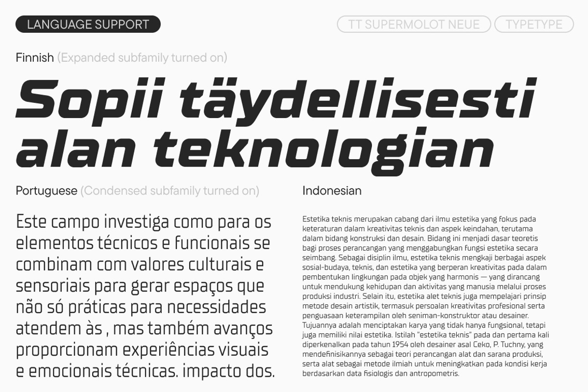 TT Supermolot Neue Basic, a Sans Serif Font by TypeType (Photo 8 of 15)
