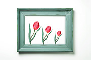 Light blue wooden frame stock photo, a Background Photo by Leo Flo Mockups (Thumbnail 4 of 4)
