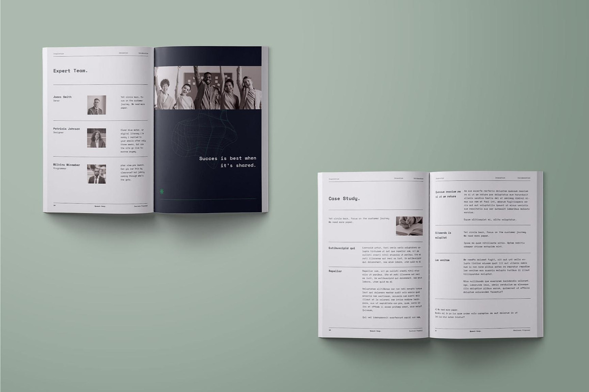 Business Project Proposal - Spaech, a Brochure Template by fakhroo (Photo 7 of 10)