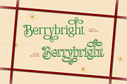 Belgion - Modern Elegant Font, a Serif Font by Casloop Studio (Thumbnail 7 of 10)