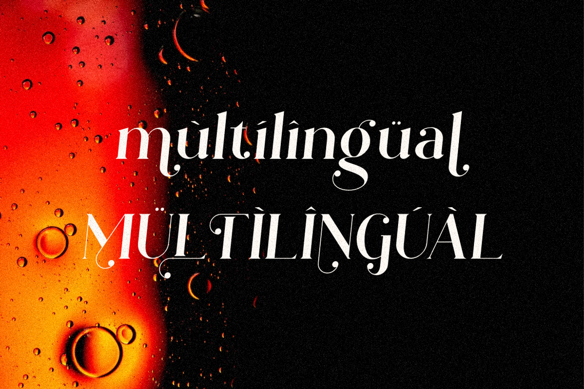 Rallinsah Serif Font, a Serif Font by Typegoals Studio (Photo 6 of 9)