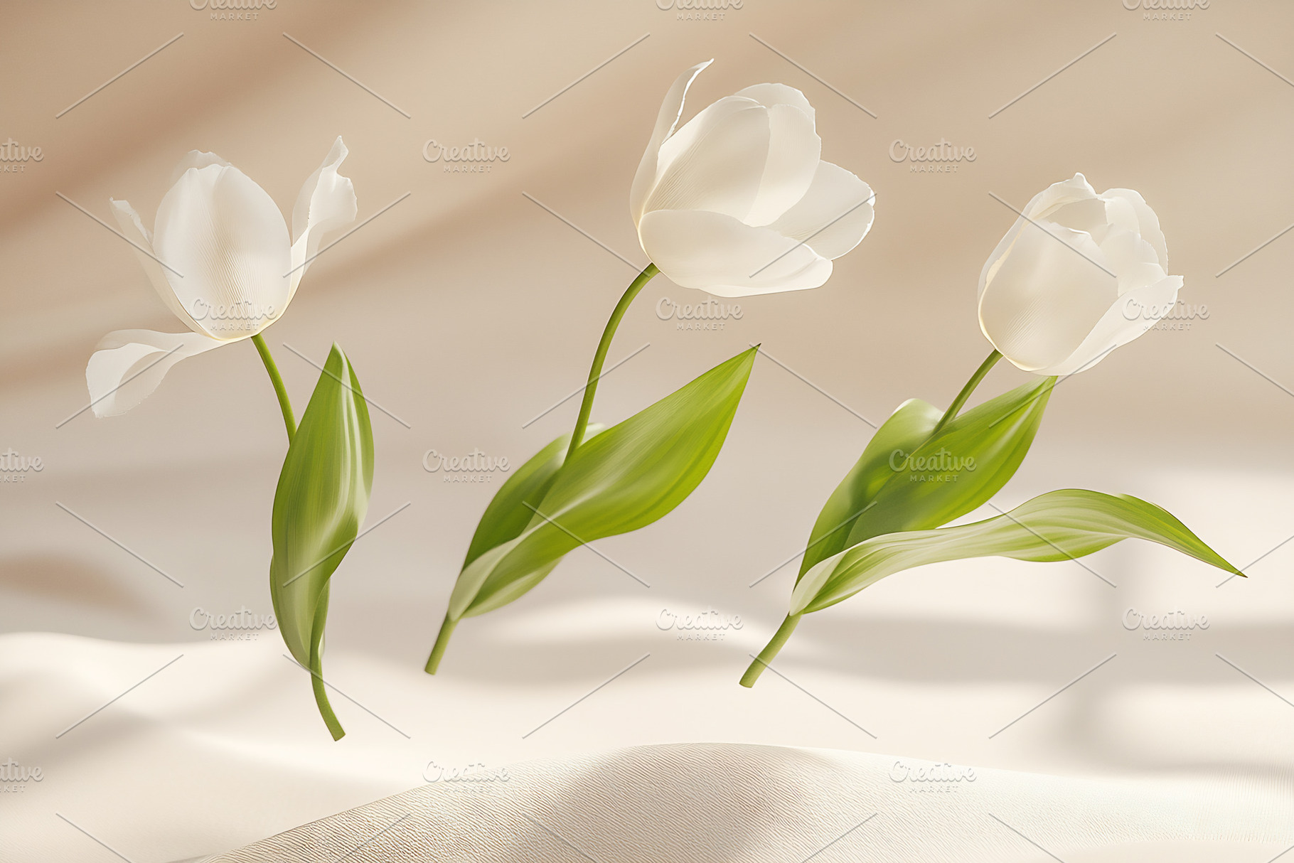 Elegant white tulips on fabric, a Nature Photo by Beautiful things