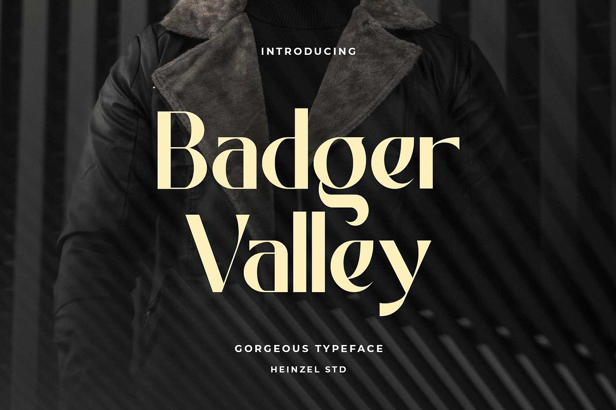 Font Bundles | Serif and Sans Serif, a Sans Serif Font by Heinzel Std (Photo 4 of 9)