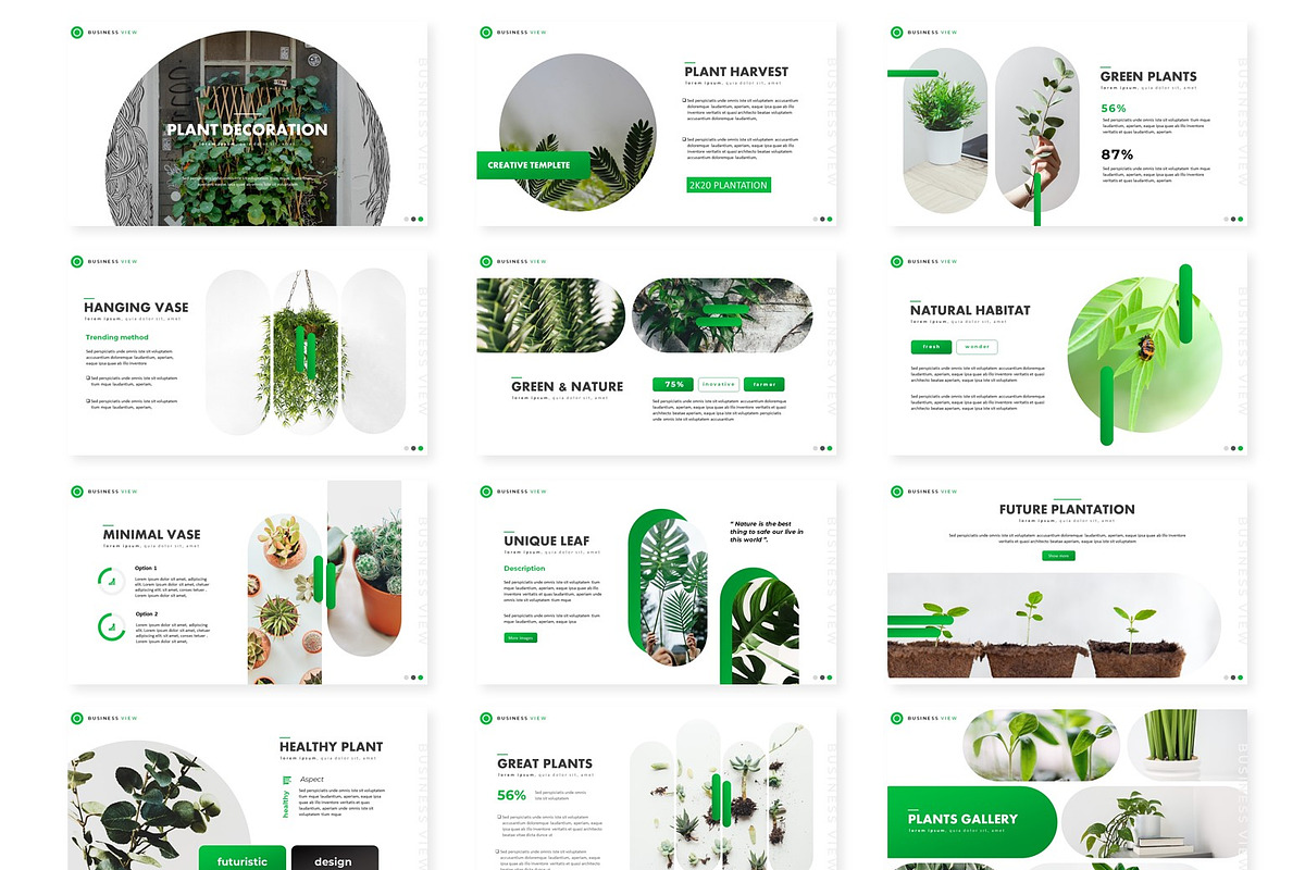 Plant - Powerpoint Template, a Presentation Template by AQR Studio