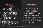 Aporla - Elegant Slab Serif, a Slab Serif Font by Baleee (Thumbnail 17 of 18)