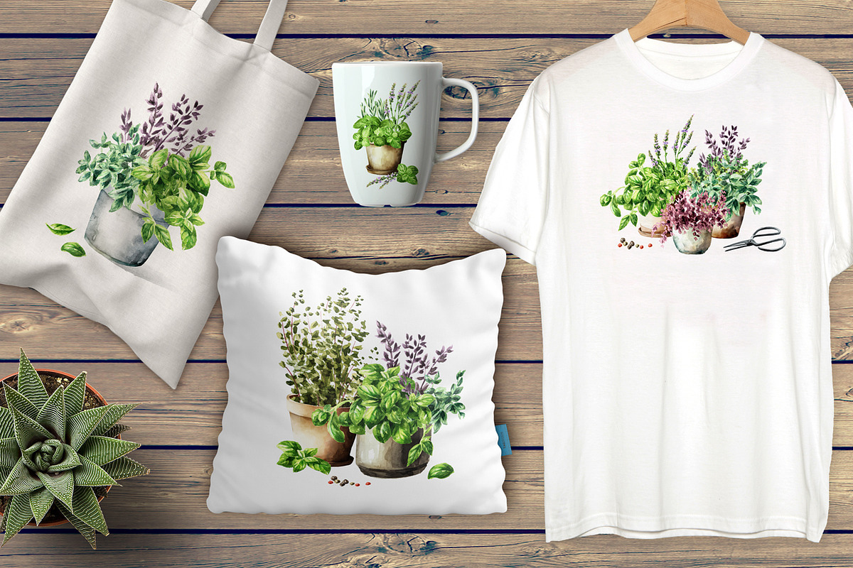 Kitchen Herbs. Watercolor collection, a Healthcare Illustration by Daria Ustiugova (Photo 9 of 9)