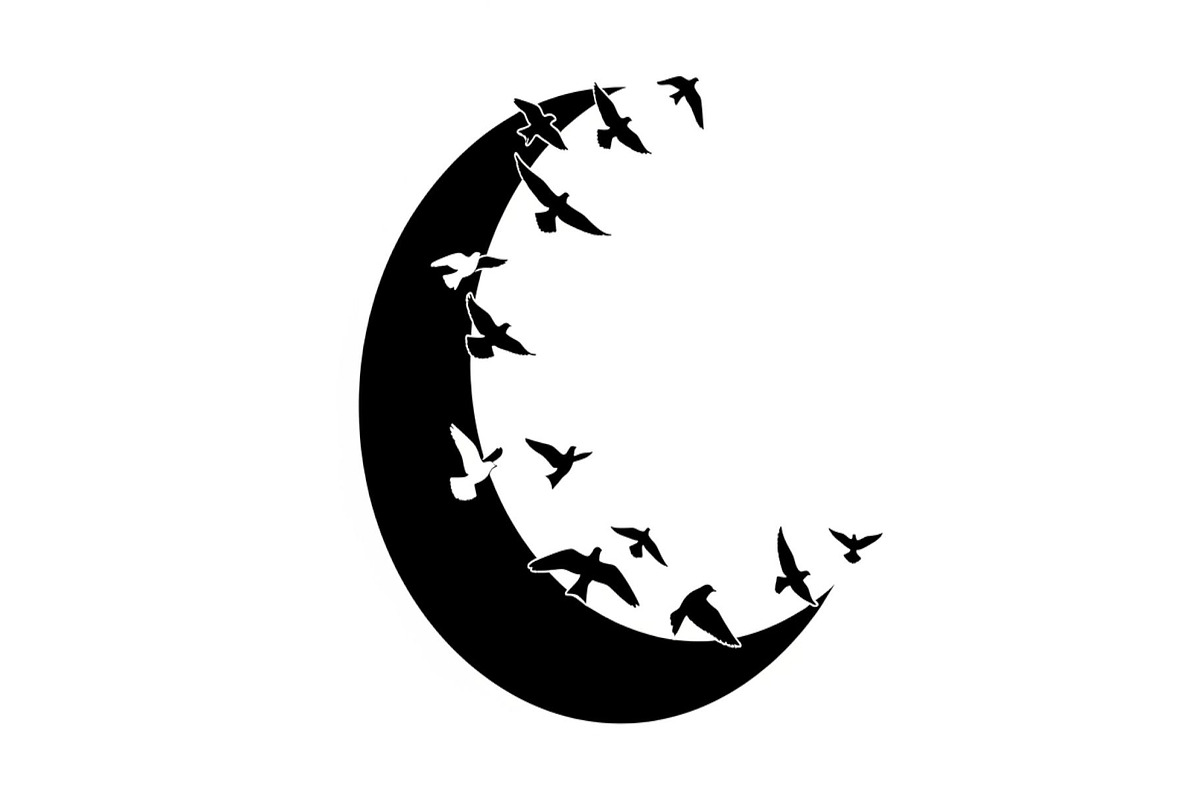 Flying Birds Moon SVG Bundle, an Illustration by yasushie (Photo 20 of 31)
