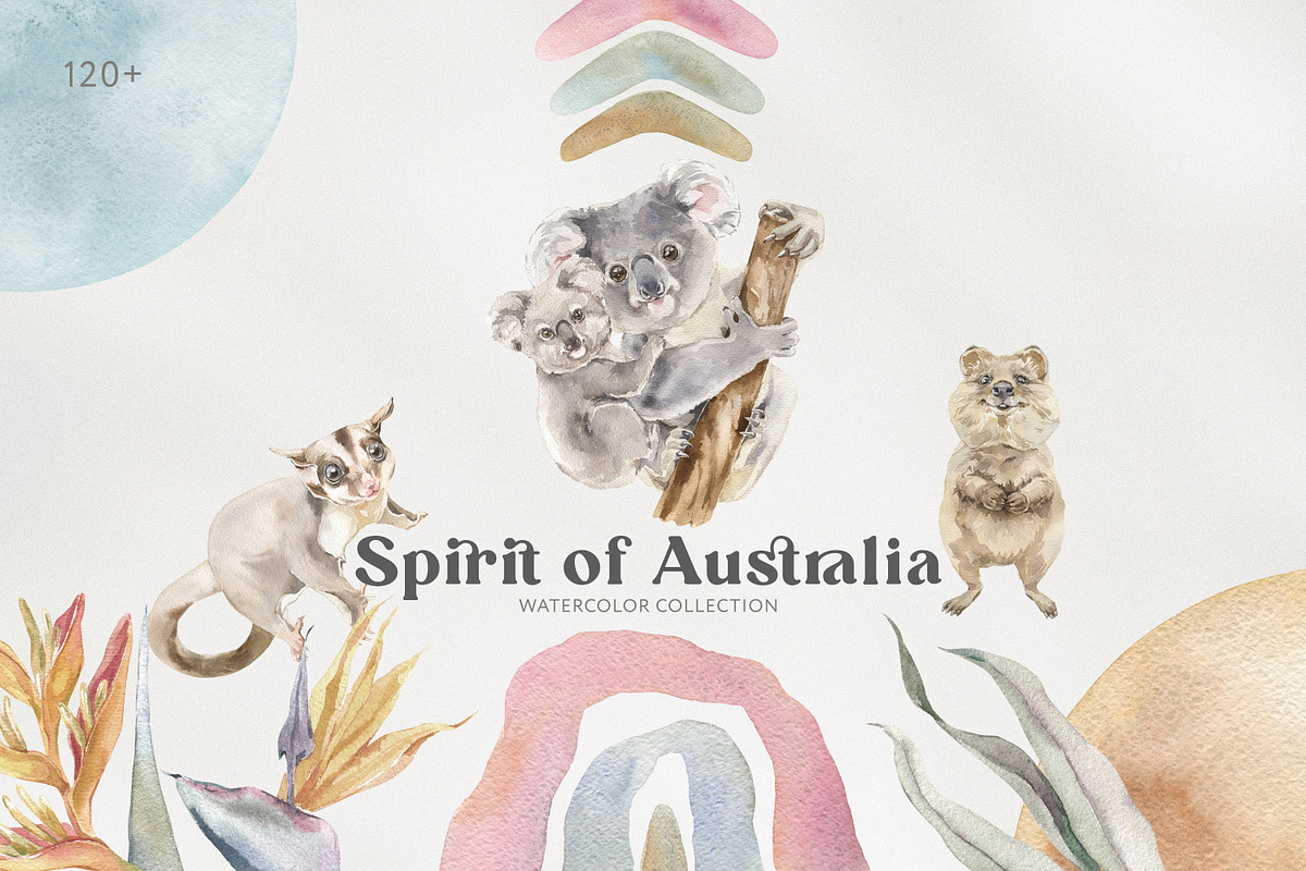 Animals Watercolor Clipart Bundle, an Animal Illustration by Cat In Colour (Photo 24 of 41)