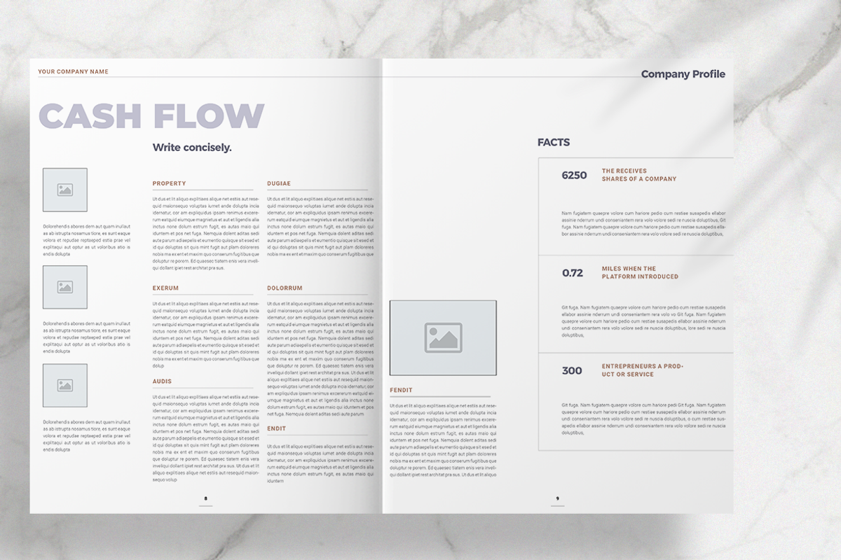 Company Profile 2020, a Brochure Template by Boris Cupac (Photo 5 of 8)