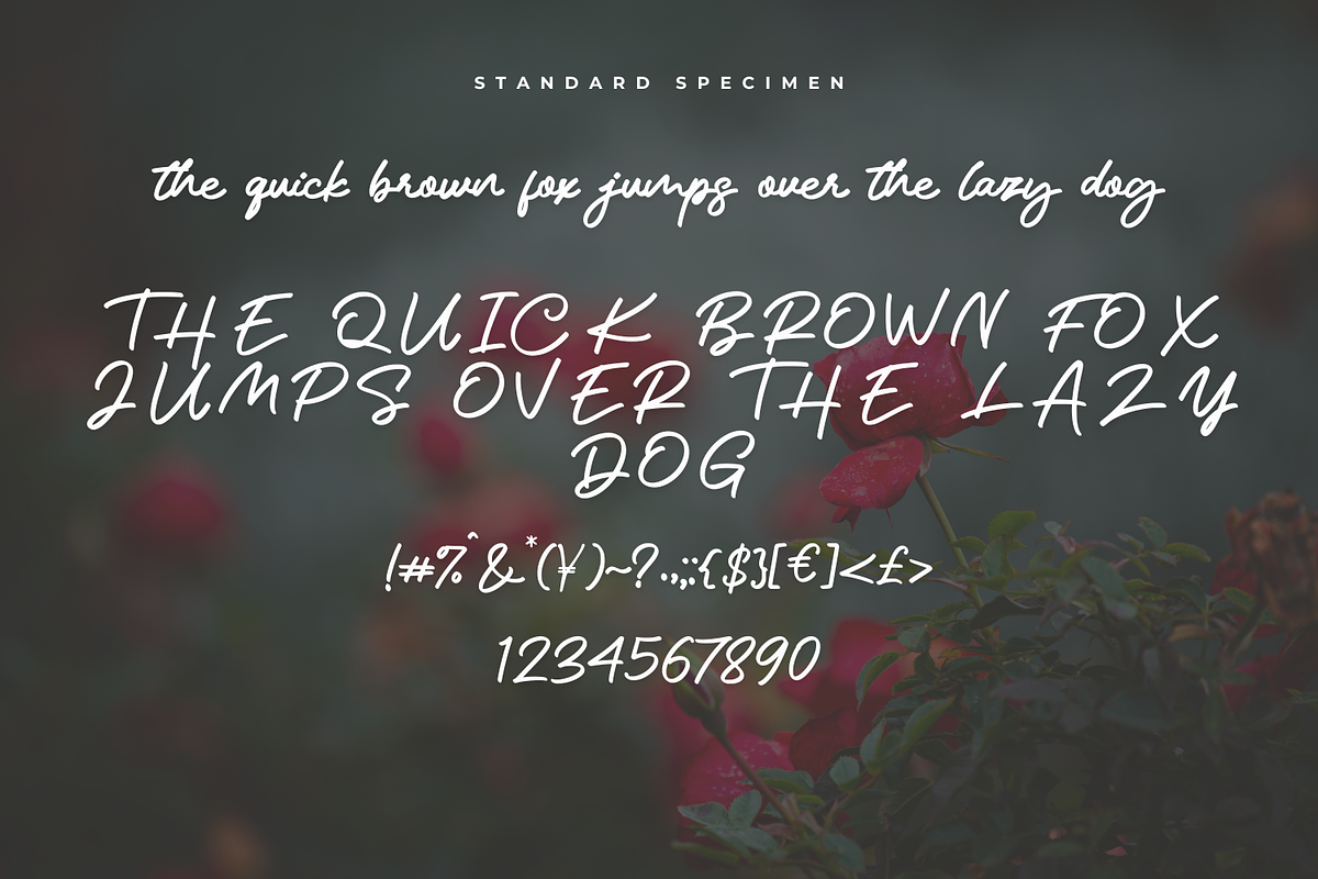 Marstina Handwritten Font, a Handwritten Font by Basnistudio (Photo 8 of 14)