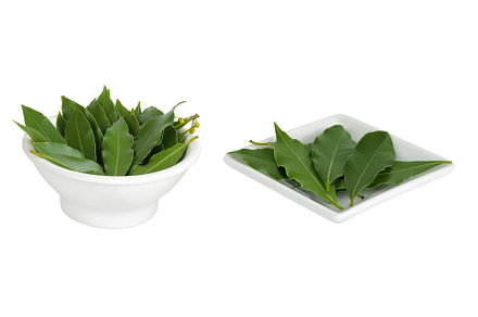 Fresh Laurel leaves in ceramic bowl