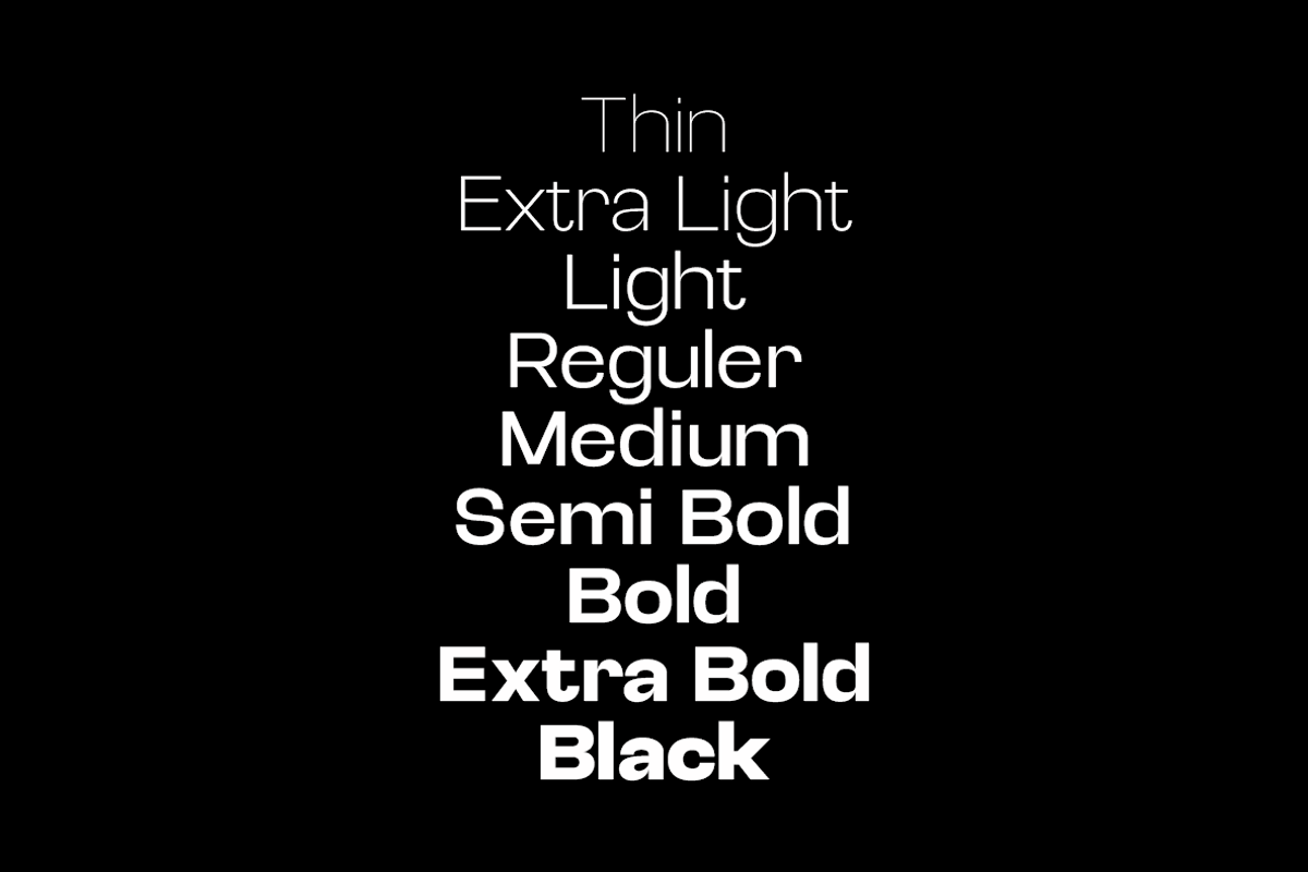 Selqova | Sans serif family, a Sans Serif Font by InkwellTypeCo (Photo 11 of 18)