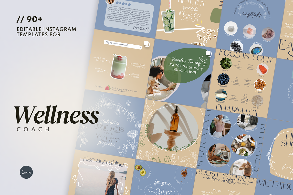 Wellness IG Canva Pack: 90+ Posts, a Social Media Template by Glow Muse Studio (Photo 1 of 9)